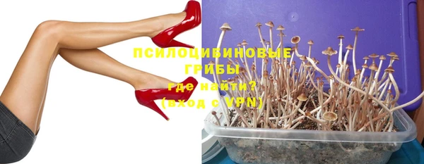 дживик Белокуриха