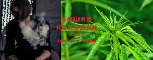 дживик Белокуриха