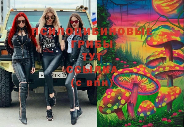 дживик Белокуриха