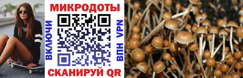 Галлюциногенные грибы мицелий  Городец 