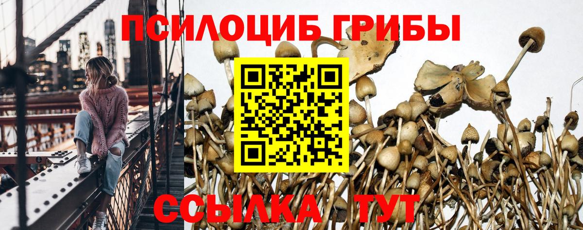 закладки  Галлюциногенные грибы Psilocybe  Вход с VPN  Городец 