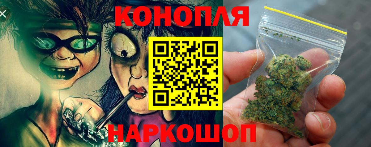 Конопля сатива  Вход с VPN  Каннабис ГИДРОПОН  Городец 